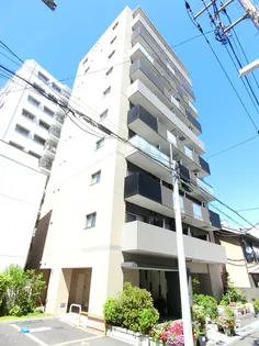 ミュールソレアードの画像