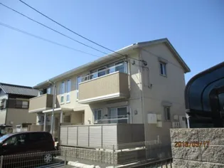 ルート Yの画像