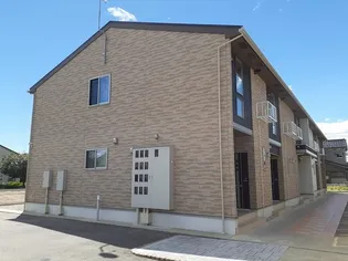 ルピナスの画像