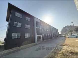 木の岡レジーナの画像