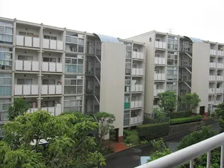 向ヶ丘遊園センチュリータウンの画像