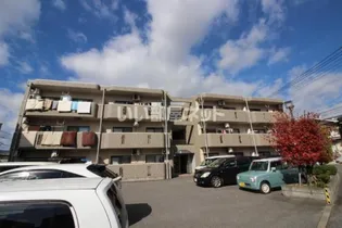 レピエス Aの画像