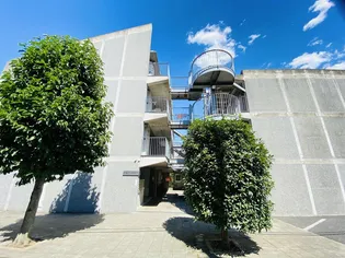 ドルフEASTの画像