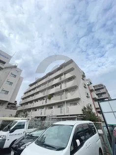 ハイツリヴァ スターの画像