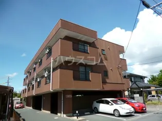 ウインブルドンの画像