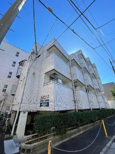 ルピナスの画像