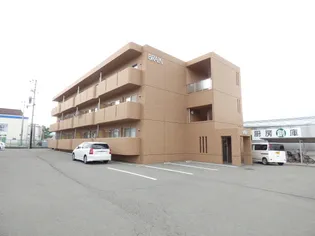 SUN CATTLEYA Kの画像