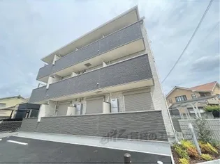 カモミール菅原東の画像