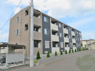 SUNNYTOWN くわばらCの画像