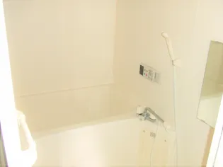 プランタン・メゾン【1階】の風呂