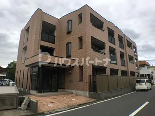 タイムズ アヴェニューの画像