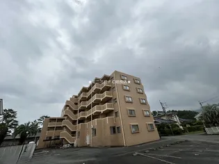 鹿児島県姶良市平松【マンション】の外観