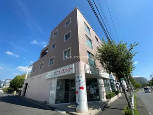 ヴァンサンカンの画像