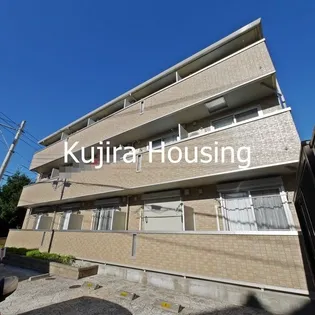 パウロニアの画像