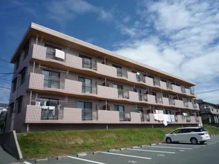 オーセンティック後藤の画像