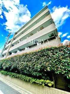 菱和パレス世田谷桜新町【2階】の外観