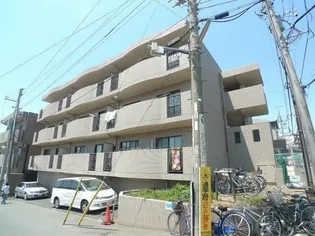 プリマヴェーラの画像