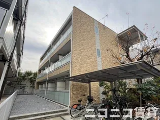 リブリ JUNE KALUNASIAの画像