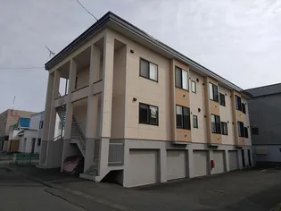 チェリーブロッサム日の出の画像