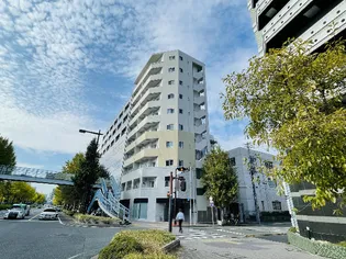 Chateau Cerulean代官町【5階】の外観