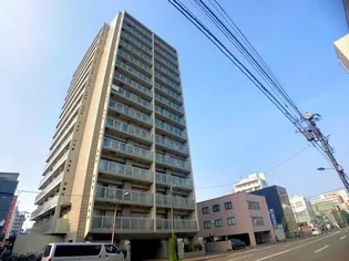 ビッグパレス北14条【11階】の外観