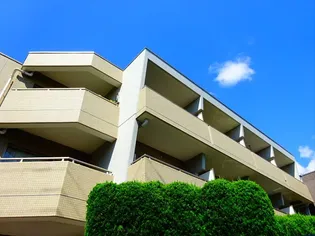 TRIANGOLOの画像