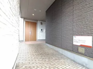 ステラYJSの画像
