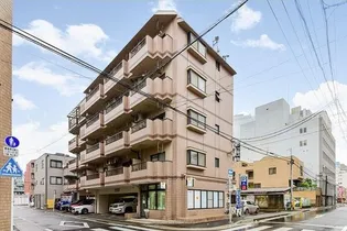 プラゼールの画像