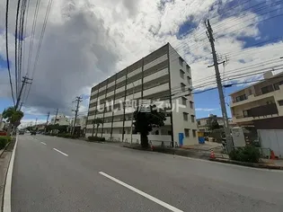 グレース パグーロFの画像