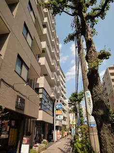 デンス河野の画像