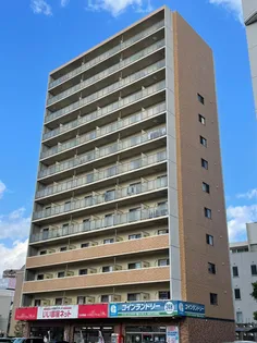 エヴァーグリーンの画像