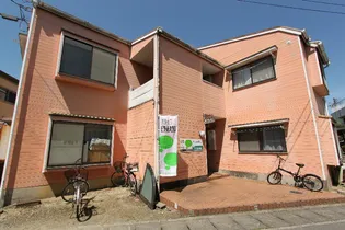 サンリッチ12の画像