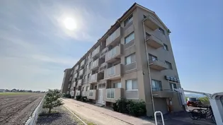 岡山県岡山市東区君津【マンション】の外観