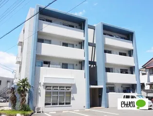 GOLD PALACEの画像