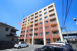 すかる梅満の画像