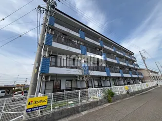 グリンピア花水木の画像