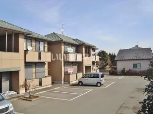 マルベリィAの画像