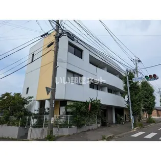 コーエイハイツの画像