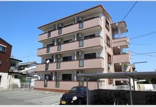 AKOYA PERLEIの画像