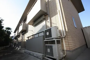 テーズパーシモンの画像