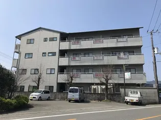 SINAJYURIME GREEN西の画像