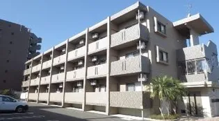 アンシャンテYの画像