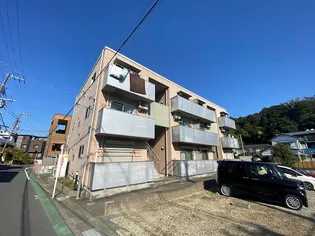 サニーグリーンの画像