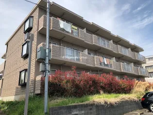 ラビアンローズの画像