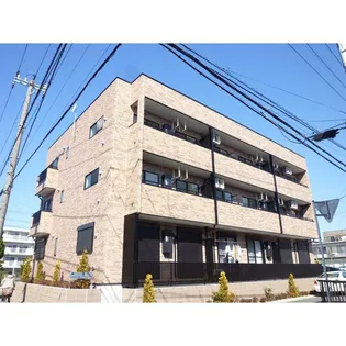 セントポーリア36の画像