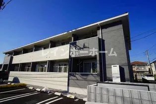 グリーン リーフの画像