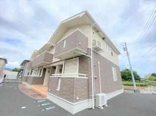 ロイ ファロの画像