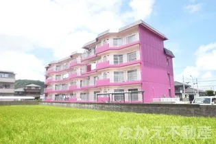徳島県阿南市見能林町念仏免【マンション】の外観