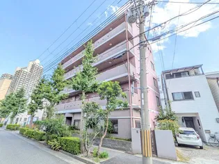 メゾンルウ住吉の画像