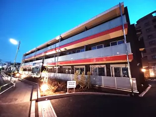 VORTEX SETAの画像